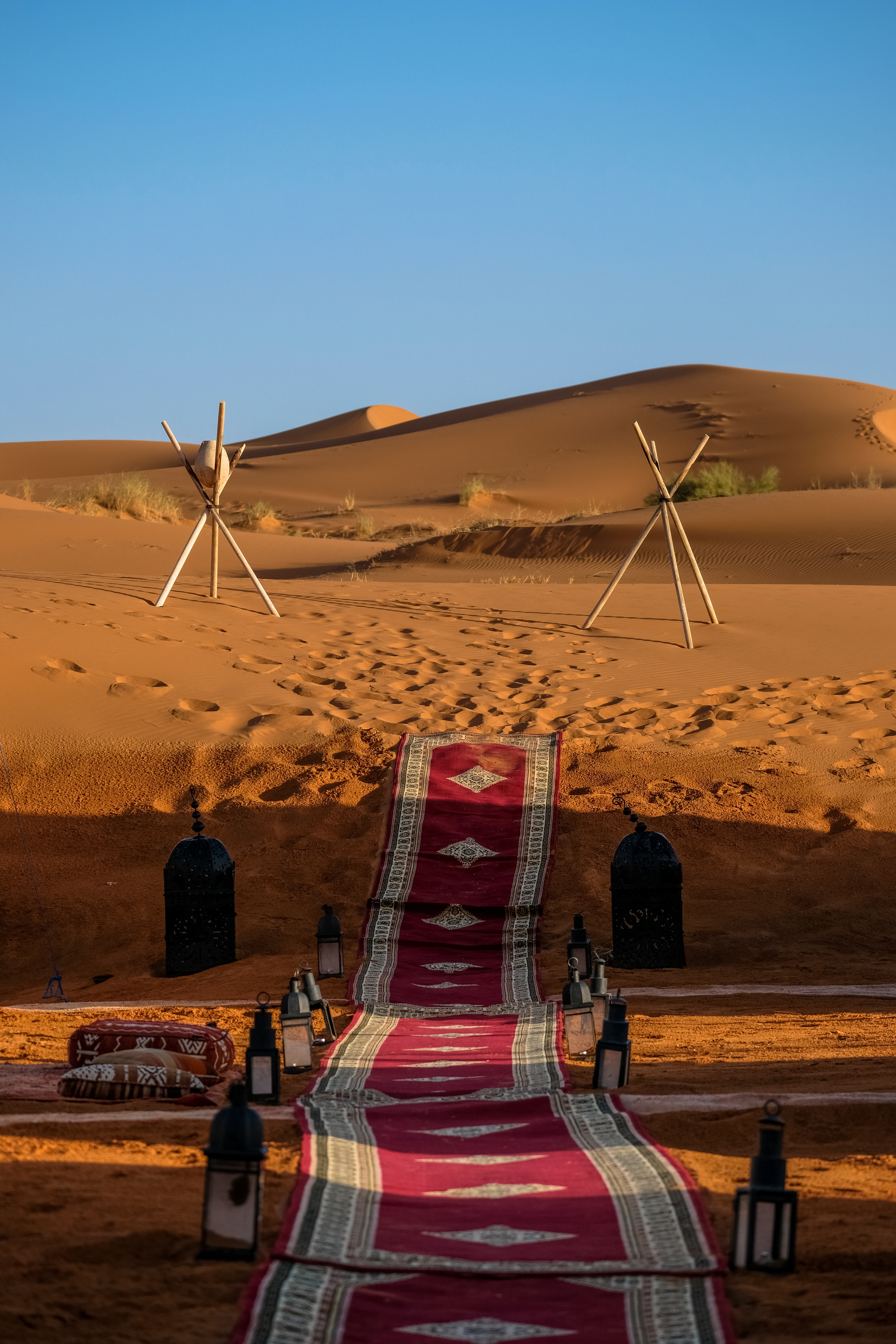 Desert Safari